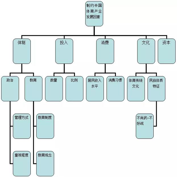 體育行業分析